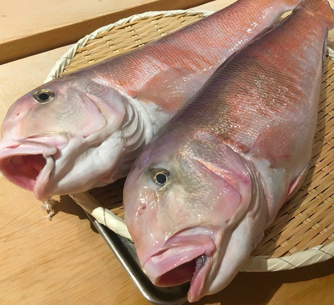 かつお